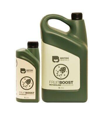 British Minerals Fruit Boost 5L