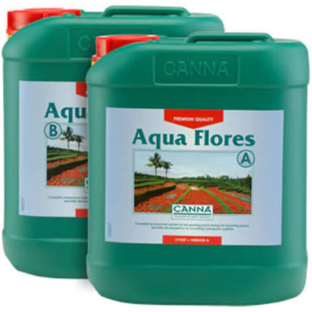 Aqua Flores A&B