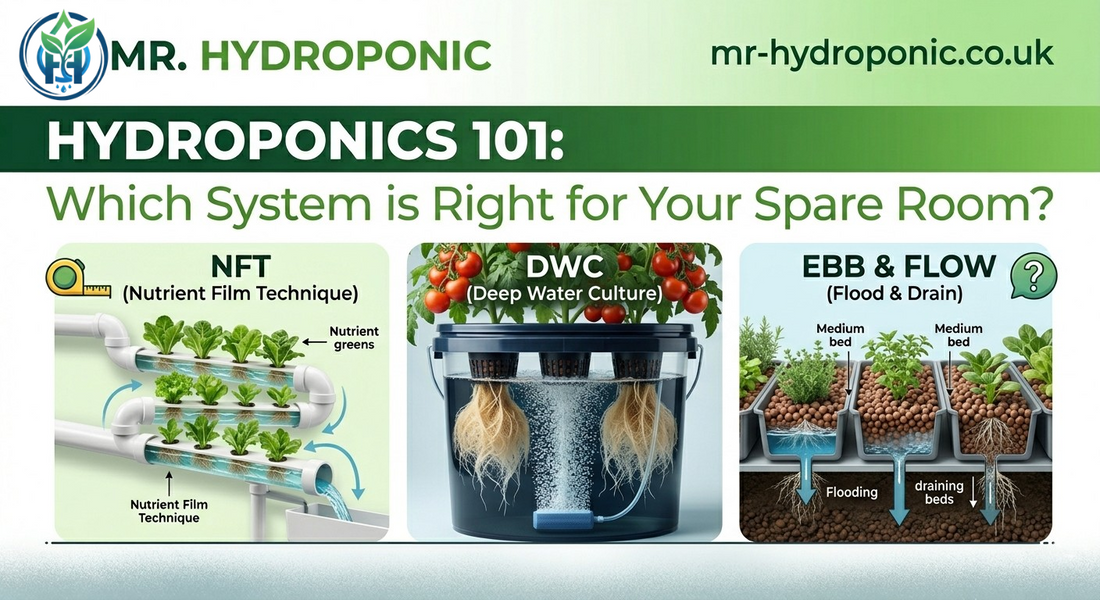 Hydroponics 101: Which System is Right for Your Spare Room?