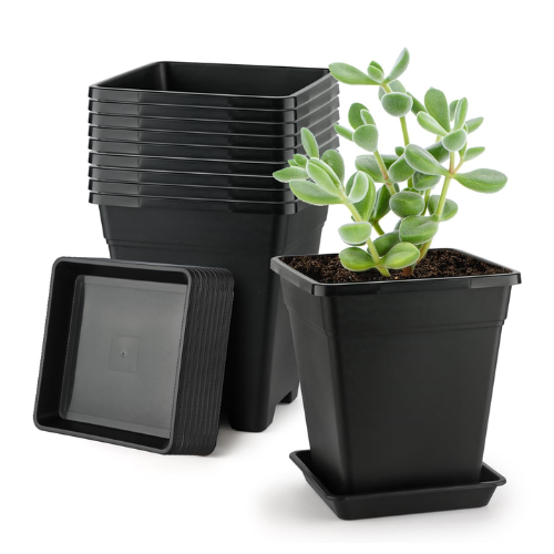 Pots, Trays And Saucers