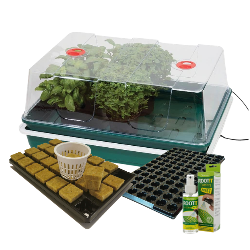 Propagation