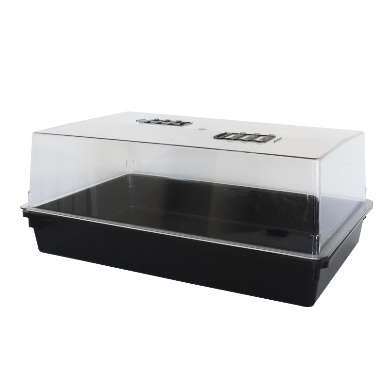 Premium Propagator