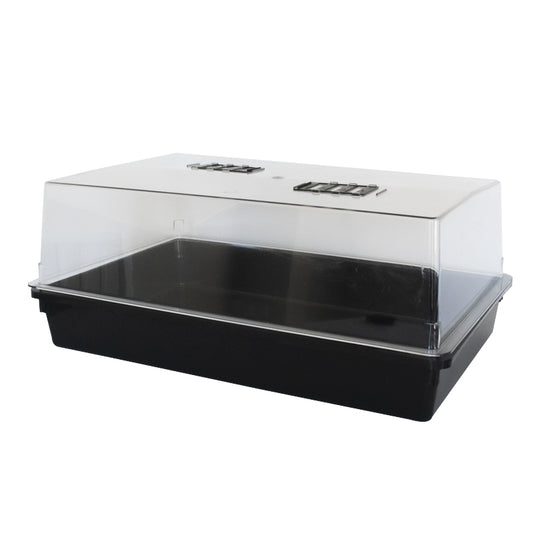 Premium Propagator