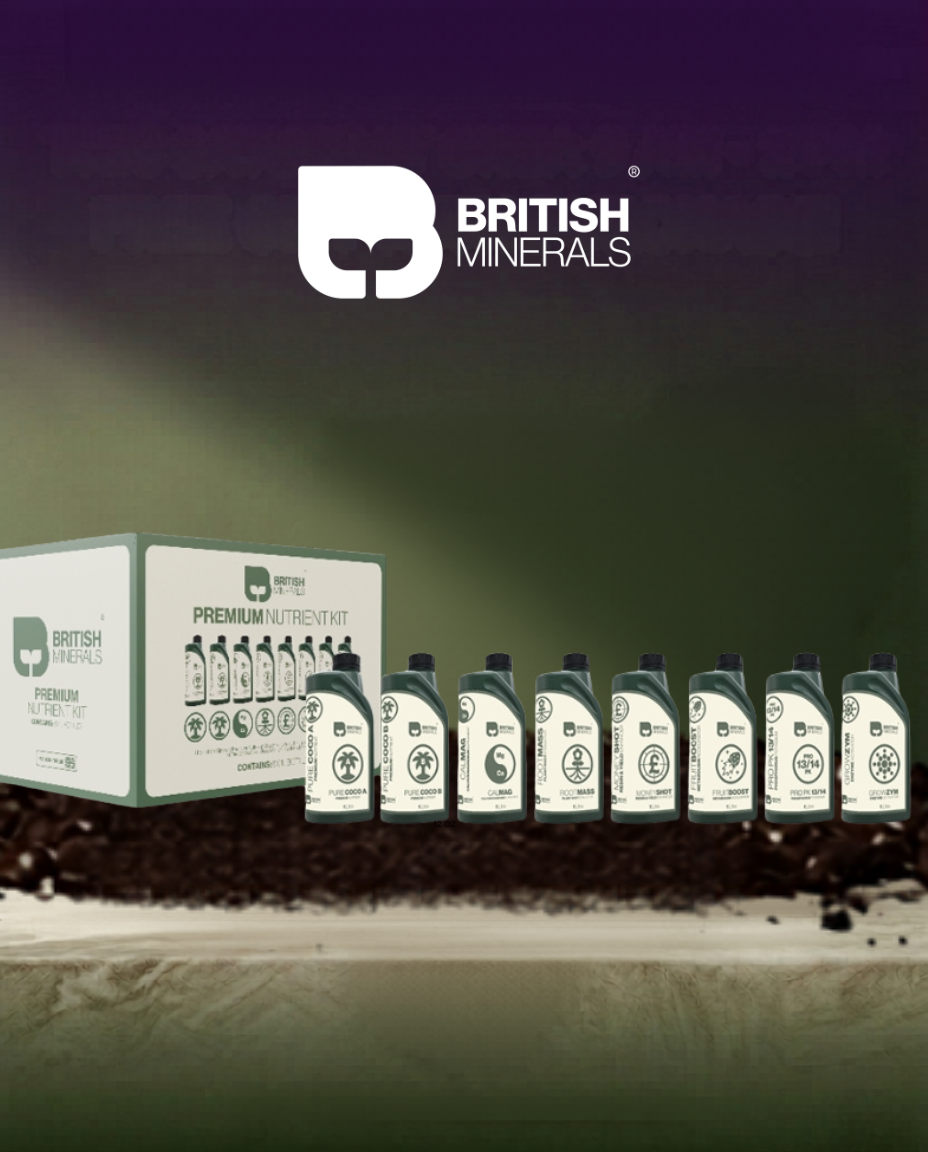 British Minerals Starter Pack