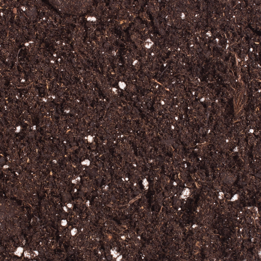 Close-up of dark brown soil with small white particles