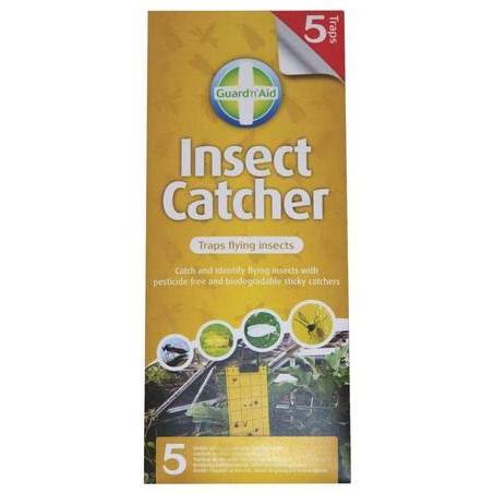 Insect Catcher Traps