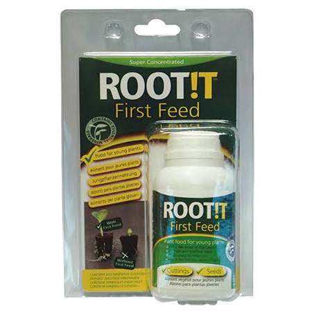 Root IT First Feed